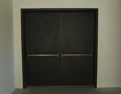 Fire Door Double Fire Door 6 ~blog/2025/2/24/freepicdownloader_com_minimalist_door_front_door_wooden_door_big_wooden_door_medium_1